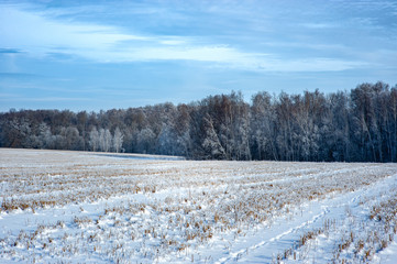 Land field covered in snow. Russia, Moscow region