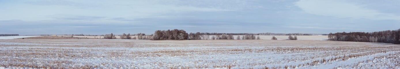 Panorama of winter field. Good as a banner. Russia, Moscow region