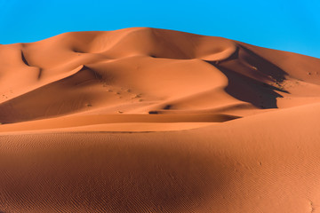 Fototapeta na wymiar Sand dunes in the Sahara Desert, Merzouga