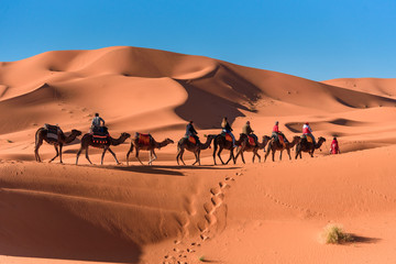 Caravan walking in Merzouga Sahara desert on Morocco