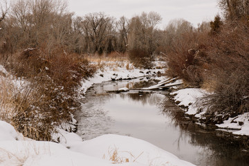 snowy river bank