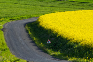 bends road next to canola field in Turkey