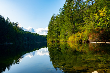 Mirror lake in forest