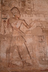 HIEROGLYPHES TEMPLE DE TOUTHMOSIS III TEMPLE DE KARNAK LOUXOR EGYPTE