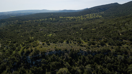 Fototapeta na wymiar Wooded foothills with pine trees and bushes. Shot on a drone. View from above.