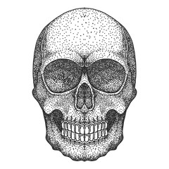 skull head dotwork vector illustration 