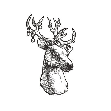Vector vintage illustration with deer of Santa Claus isolated on white in engraving style. Cute animal with Christmas decorations. New Year sketch