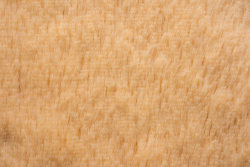 Faux Fur Texture Close Up Background