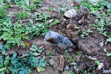 Naklejka na ściany i meble pollution -Plastic bottle in forest