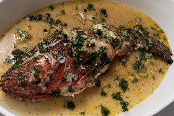 Red scorpionfish, Adriatic sea, Croatia