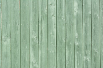 Empty green background with wood texture. A fence of smooth tinted boards. For sites and layouts.