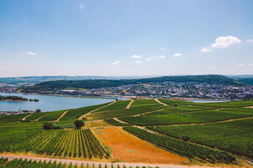 Fototapeta premium Panorama of the middle Rhine River valley with beautiful vineyards sloping down to a distant medieval village of Rudesheim, Germany. Unesco