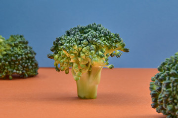 fresh green broccoli