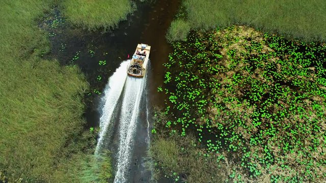 Airboat racing on a swamp river. Florida. USA.