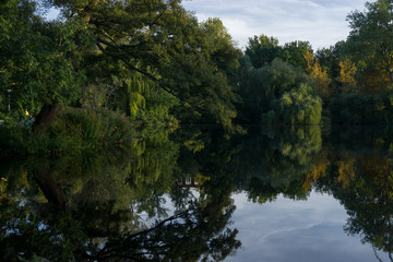 Trees reflected in lake