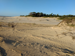 Sand dunes in the beach