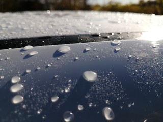 rain drops on window