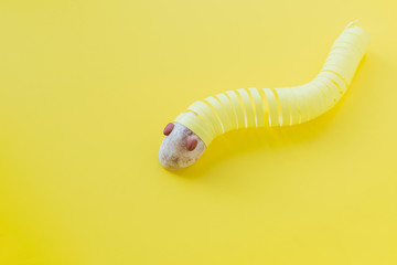 Serpentine for Christmas tree in the form of worms