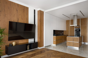 Open space apartment in wood
