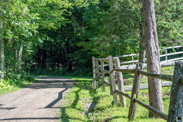 Horse farm with green grass and a dirt road