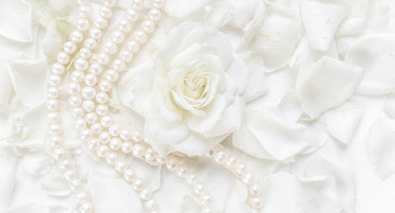 Fototapeta na wymiar Beautiful white rose and pearl necklace on a background of petals. Ideal for greeting cards for wedding, birthday, Valentine's Day, Mother's Day