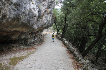 On pavement near Monastery Santuari de Lluc in Serra de Tramuntana, Mallorca, Spain