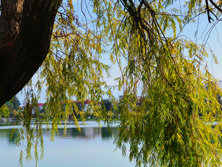 Beautiful landscape with a lake in a city park. Autumn day in the city
