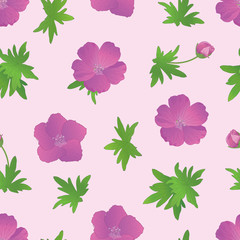 Vector floral seamless pattern with Geranium flowers and leaves on a pink background
