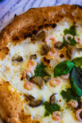 unusual pizza with porcini mushrooms sautéed with fior di latte, homemade basil pesto and pink prawns