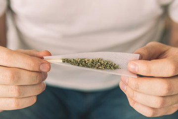 Man preparing and rolling marijuana cannabis joint. Close up of marijuana joint with grinder. marijuana use concept. Man rolling a cannabis joint on white background.