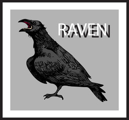 vector image of a black raven with the inscription raven in the style of art sketching pictures in a frame