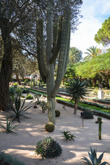 Obraz premium Bahai Gardens in Haifa.