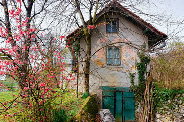 Cottage country house in village at Celje in Slovenia