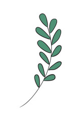 Isolated leaf plant vector design