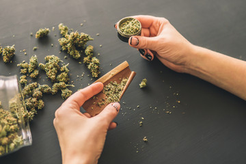 Close up Woman rolling a marijuana joint. Woman preparing and rolling marijuana cannabis joint....