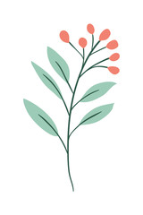 Isolated leaf plant vector design