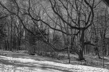 Maizerets park in Quebec city