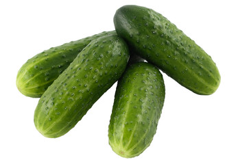 Green isolated cucumbers on a white background close-up