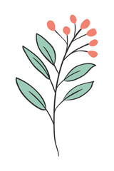 Isolated leaf plant vector design