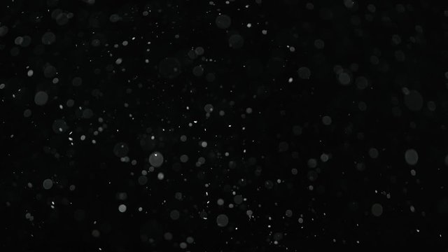 Natural organic dust particles on black background. Glittering Particles With Bokeh. Slow motion at 1000 fps.