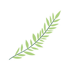Isolated leaf plant vector design