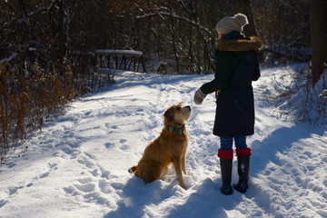 Young woman training her dog on a forest path with fresh snow and bridge