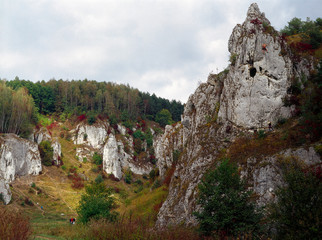 Kobylanska Valley, Jura Krakowsko - Czestochowska region, Poland