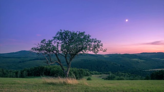 4K time-lapse lone tree on a hill overlooking the countryside after sunset with moon in the sky
