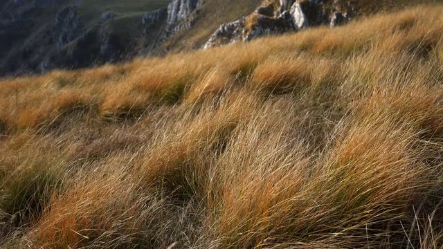 Dry autumn grass in hard wind at Vlasic mountain Bosnia and Herzegovina - (4K)