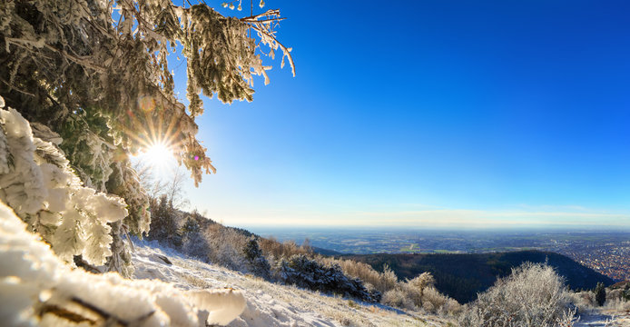 Winter panoramic landscape with snow and lots of copy space on clear blue sky 