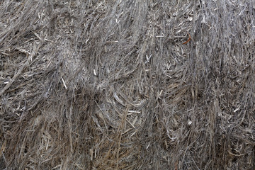 Textured dried stalks of cannabis sativa for the production of woven goods
