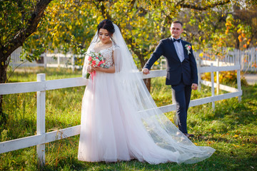 Fototapeta premium newlyweds walk in the autumn park at the fence