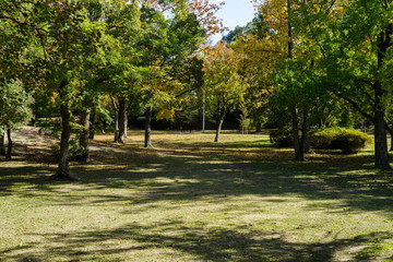 Obraz premium 大阪豊中・千里中央公園