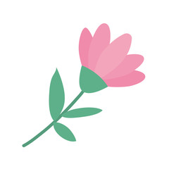 Isolated pink flower ornament with leaves vector design